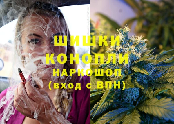 ПСИЛОЦИБИНОВЫЕ ГРИБЫ Заволжск
