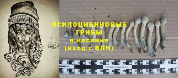 ECSTASY Заводоуковск