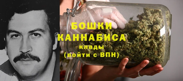 ПСИЛОЦИБИНОВЫЕ ГРИБЫ Заволжск